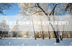 手机无线分享（手机无线分享密码）