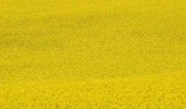 原创6座3卧的B型房车，11月29亮相成都房车展，这布局真用心了