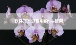 软件开发过程中的Visio使用