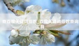 查百度关键词指数_百度关键词指数查询工具