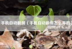 手机自动截屏（手机自动截屏怎么弄的）