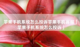 苹果手机系统怎么投诉苹果手机客服「苹果手机系统怎么投诉」