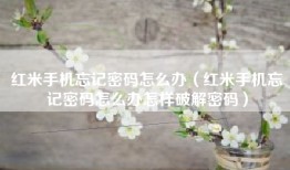 红米手机忘记密码怎么办（红米手机忘记密码怎么办怎样破解密码）