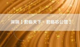 深圳【君临天下·君临芯公馆】