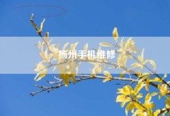 扬州手机维修