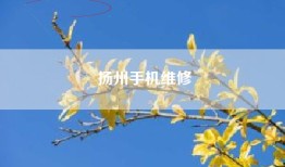 扬州手机维修