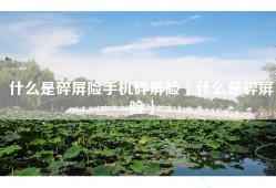 什么是碎屏险手机碎屏险「什么是碎屏险」