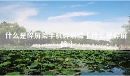 什么是碎屏险手机碎屏险「什么是碎屏险」