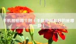 手机照相哪个好（手机照相最好的是哪一款）