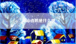 潮汕卤鹅是什么梗