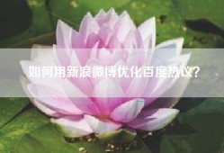 如何用新浪微博优化百度热议？