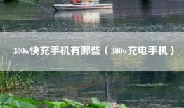 300w快充手机有哪些（300w充电手机）