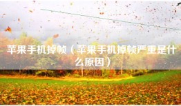 苹果手机掉帧（苹果手机掉帧严重是什么原因）