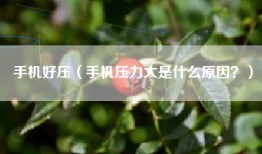 手机好压（手机压力大是什么原因？）