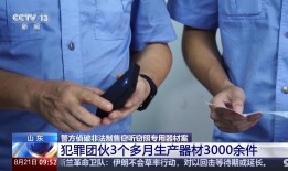 充电宝的皮，窃听器的里，你的隐私可能被它泄露了手机窃听器「充电宝的皮，窃听器的里，你的隐私可能被它泄露了」