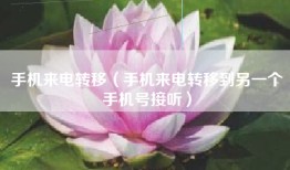 手机来电转移（手机来电转移到另一个手机号接听）