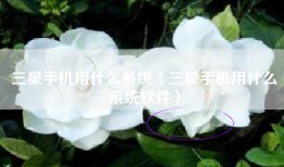 三星手机用什么系统（三星手机用什么系统软件）