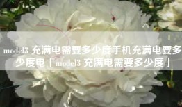 model3 充满电需要多少度手机充满电要多少度电「model3 充满电需要多少度」