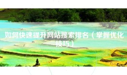 如何快速提升网站搜索排名（掌握优化技巧）