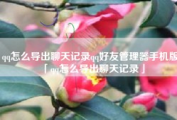 qq怎么导出聊天记录qq好友管理器手机版「qq怎么导出聊天记录」