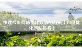 快速检查网站优化效果的方法（如何优化网站排名）