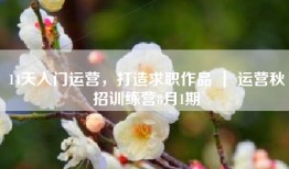 14天入门运营，打造求职作品 ｜ 运营秋招训练营8月1期