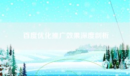 百度优化推广效果深度剖析