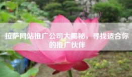 拉萨网站推广公司大揭秘，寻找适合你的推广伙伴