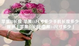 苹果13长度 苹果14尺寸多少手机长度多少厘米「苹果13长度 苹果14尺寸多少」