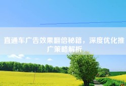 直通车广告效果翻倍秘籍，深度优化推广策略解析
