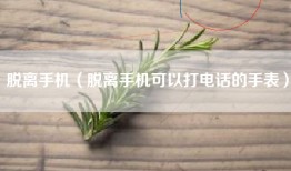 脱离手机（脱离手机可以打电话的手表）