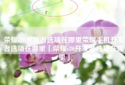 荣耀v20开发者选项在哪里荣耀手机开发者选项在哪里「荣耀v20开发者选项在哪里」