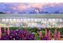拼多多食品入驻条件是什么？需要什么资料？