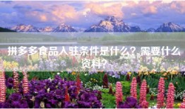 拼多多食品入驻条件是什么？需要什么资料？