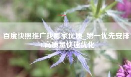 百度快照推广找哪家优质_第一优先安排+高质量快速优化