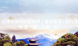 法律法规知识宣传月｜普法宣传+公开体验 走“新”又走“心”