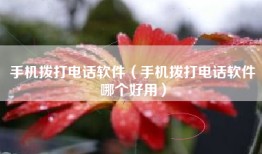 手机拨打电话软件（手机拨打电话软件哪个好用）