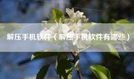 解压手机软件（解压手机软件有哪些）