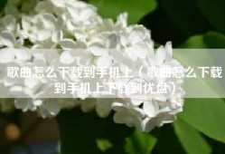 歌曲怎么下载到手机上（歌曲怎么下载到手机上下载到优盘）