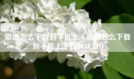 歌曲怎么下载到手机上（歌曲怎么下载到手机上下载到优盘）