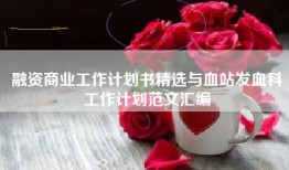 融资商业工作计划书精选与血站发血科工作计划范文汇编