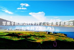 苹果手机微信打不开了（苹果手机微信打不开了怎么办）