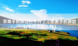 苹果手机微信打不开了（苹果手机微信打不开了怎么办）