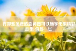 有哪些免费追剧神器可以畅享无限精彩剧集-值得一试