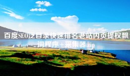 百度SEO泛目录快速排名老站内页提权飘词程序+采集器.zip