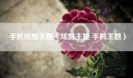 手机炫酷主题（炫酷主题 手机主题）