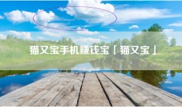 猫又宝手机赚钱宝「猫又宝」