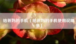 给爸妈的手机（给爸妈的手机使用说明书）