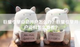 巨量引擎自助开户怎么办？巨量引擎开户资料怎么查看？