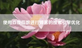 使用百度指数进行博客的搜索引擎优化